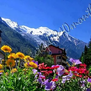 https://top-4810-mont-blanc.hotels-rhonealpes.com